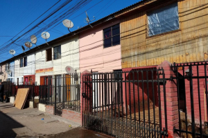 Reparacion hogares con termitas