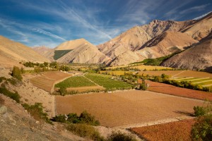 fotografia Valle del elqui